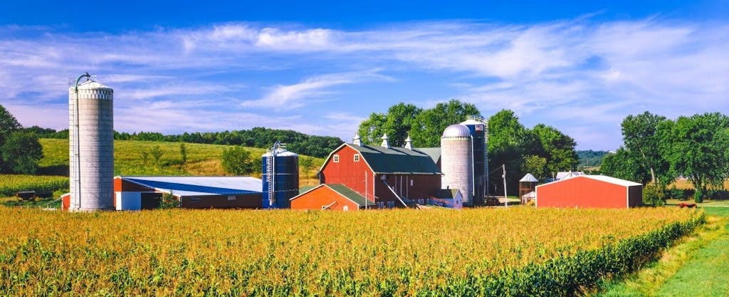 A red barn and farmhouse are pictured behind a golden-topped corn field in Iowa, where residents must file Iowa state tax returns.