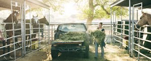 Young horse farm owner loading hay into the bed of her pickup truck, confident she’ll be able to use the standard mileage rate to take a tax deduction for using her truck for her business.