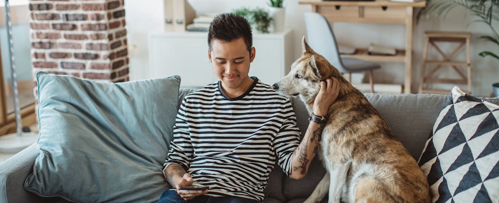 Young man sitting on sofa with his dog and looking up the average credit score on his phone