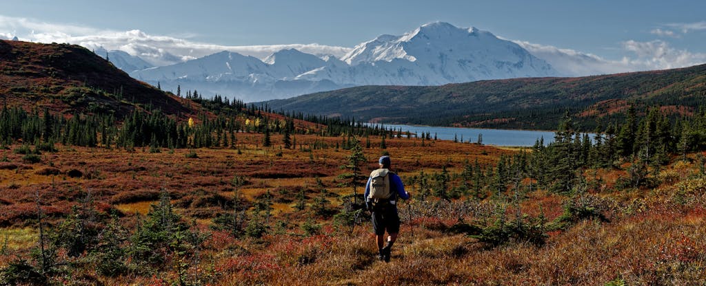 A hiker in Alaska walks towards a lake with blue sky and snowy mountains in the distance.