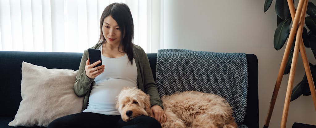 Young woman sitting on her sofa with her dog, looking at her automatic payments on her mobile phone