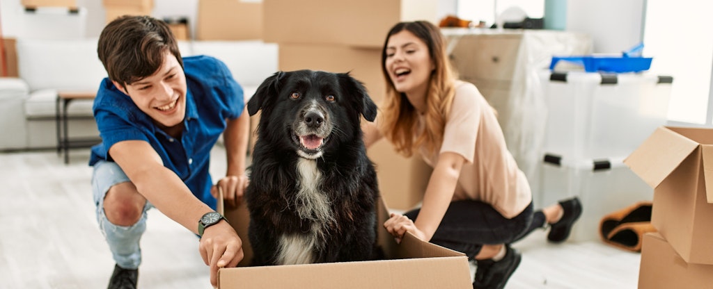Couple unpacking boxes in their first home with their dog