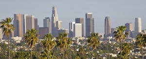 Daytime skyline of downtown Los Angeles, with tall high rise buildings in the background and palm trees in the foreground.