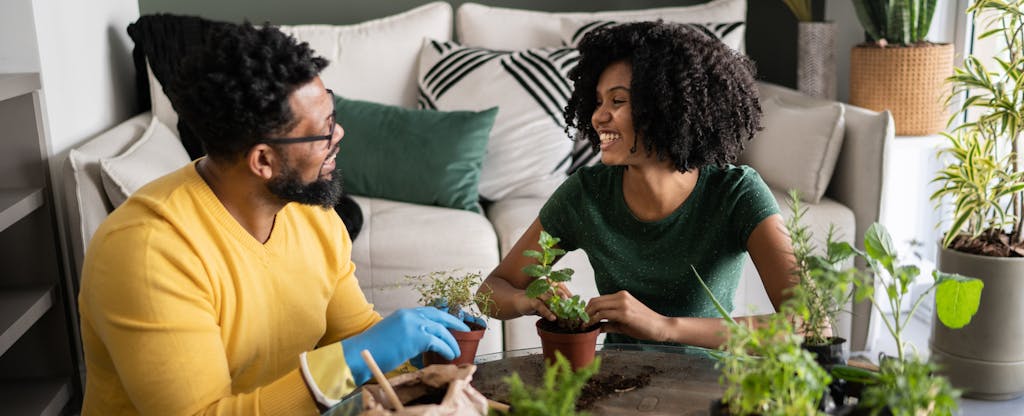 Young black couple laughing and potting plants in the living room of their new condo