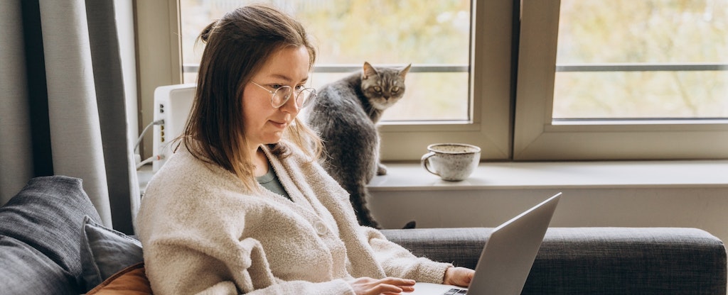Young woman working at home remotely using a laptop while sitting on the sofa. Her domestic cat is sitting next to her