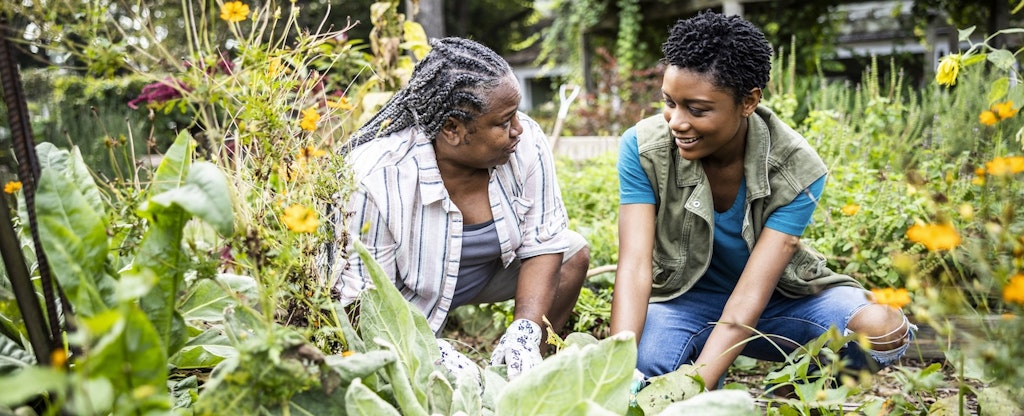 Two people smiling at each other as they chat and work together in their garden